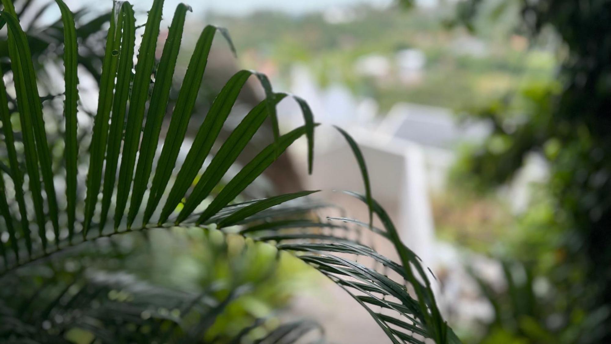Anzhu Seamate Villa Samui Amphoe Koksamui Bagian luar foto